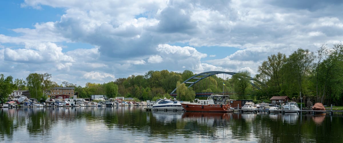 A marina with boats docked, a bridge, and trees in the background.