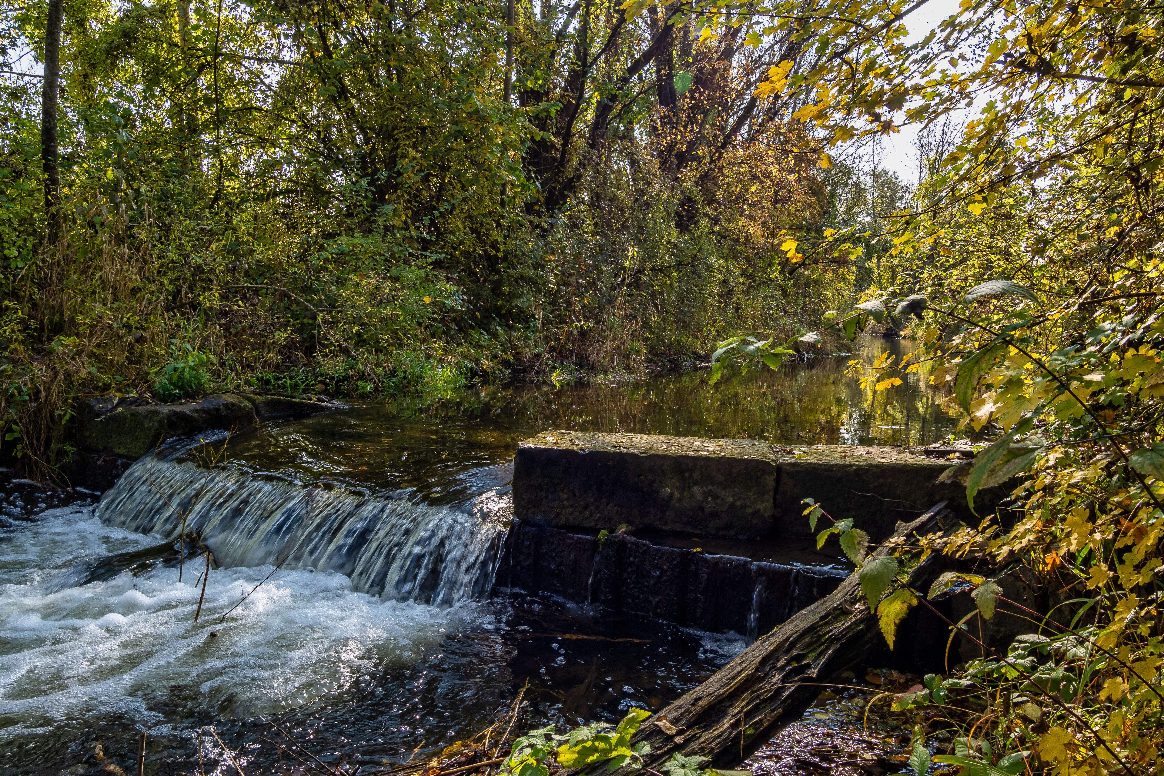 A waterfall in a forested area with dense foliage and a small stream.
