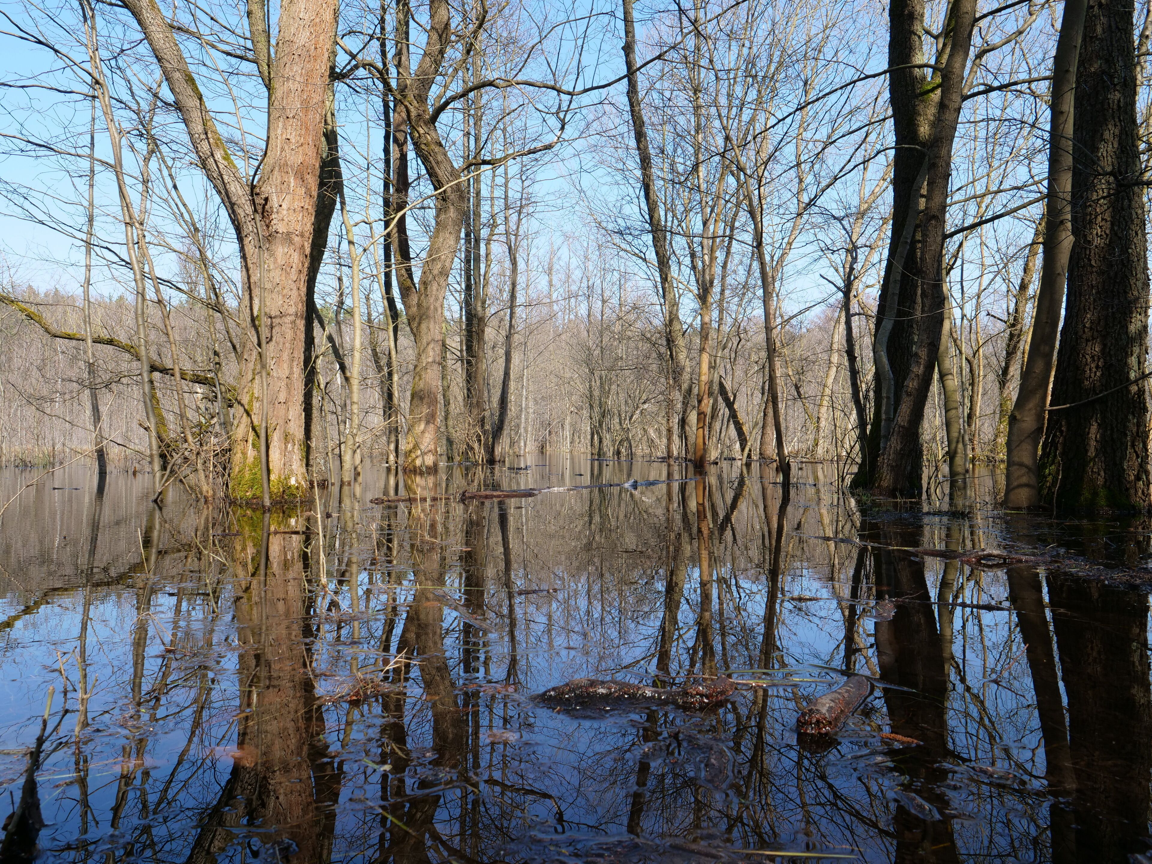 This is a picture of the protected area listed at WDPA under the ID