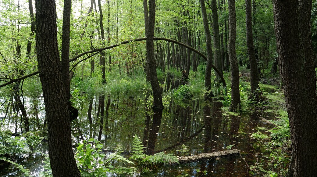 This is a picture of the protected area listed at WDPA under the ID