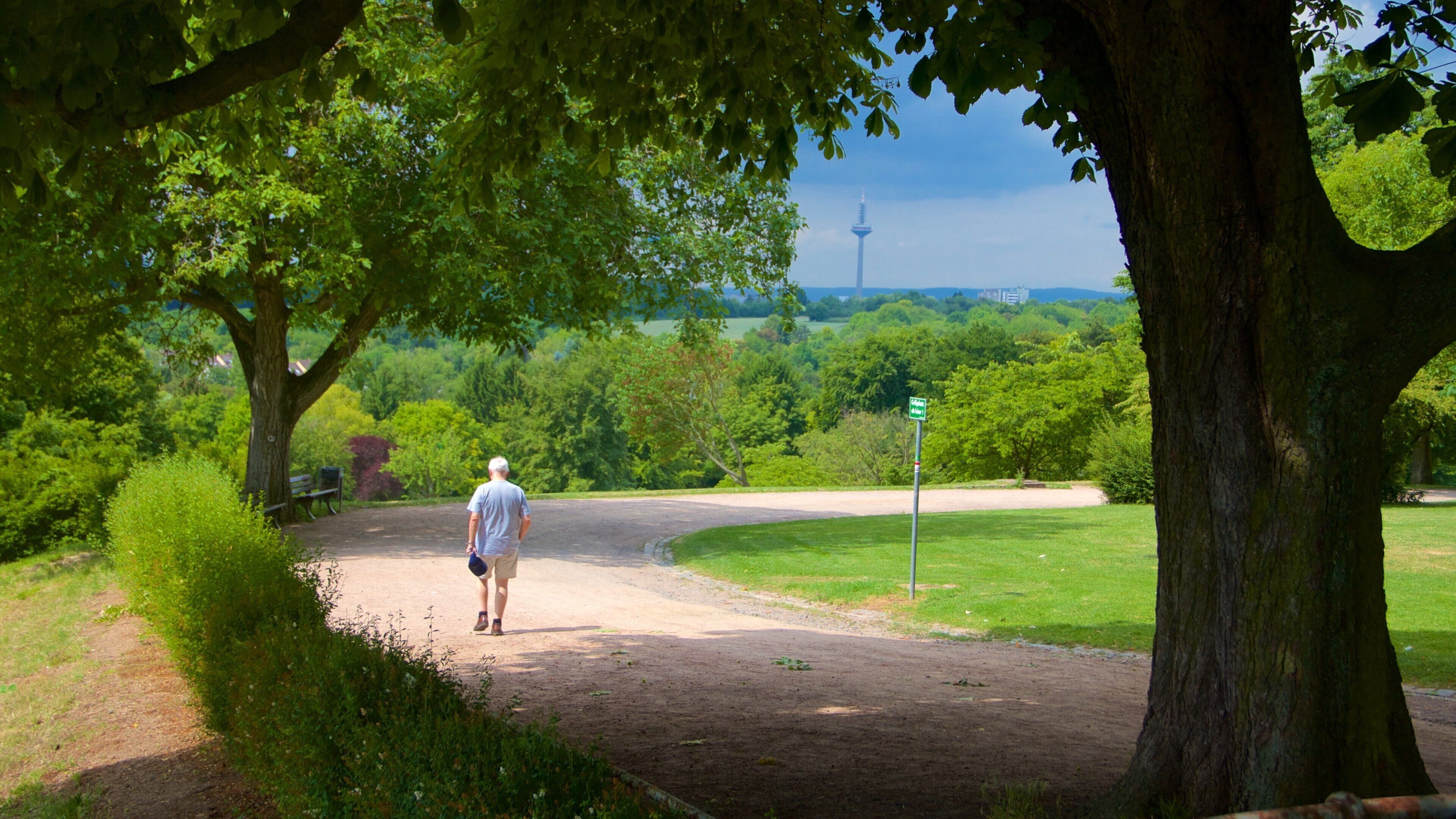Seckbach mostrando parco