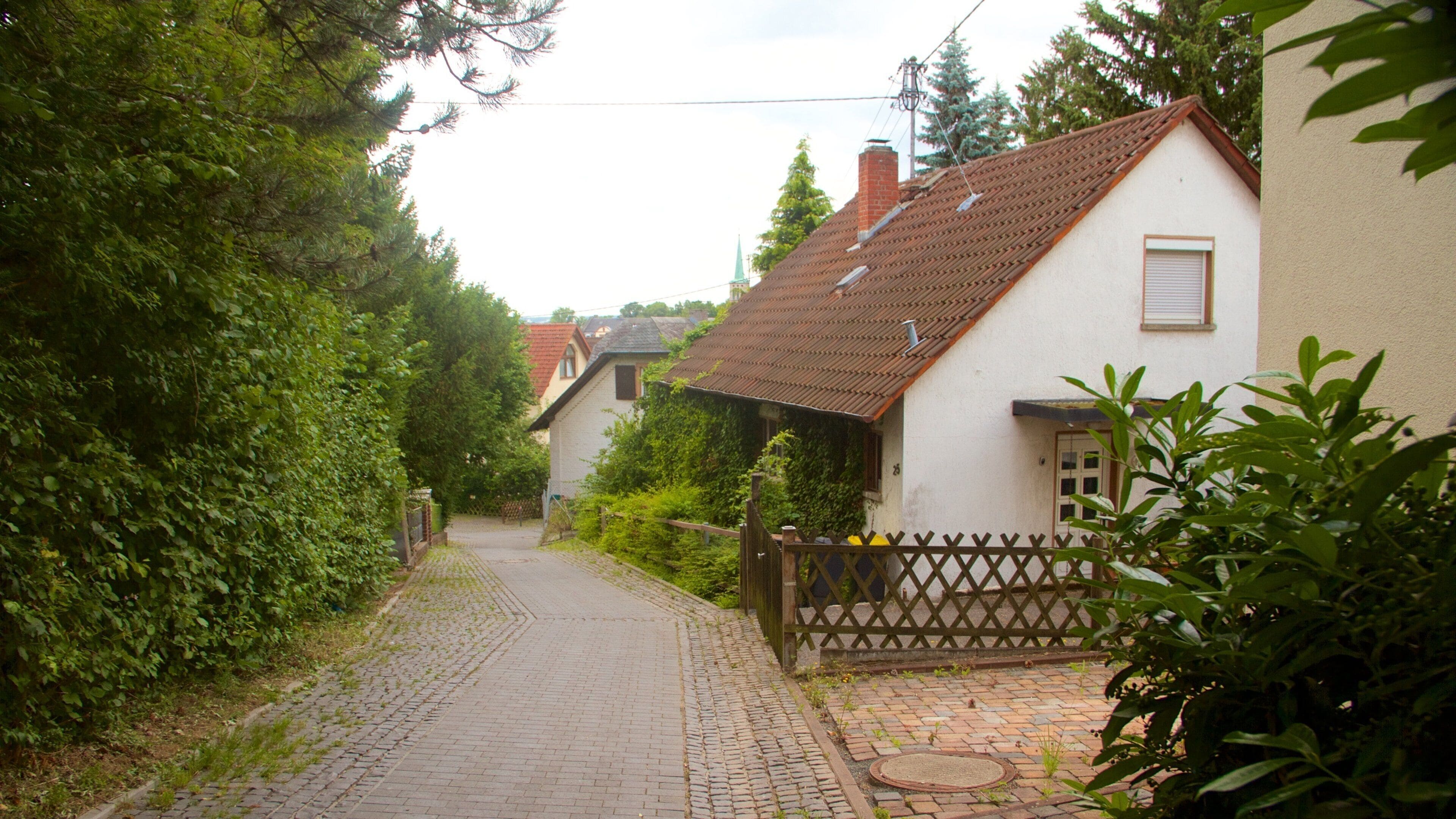 Seckbach showing a house