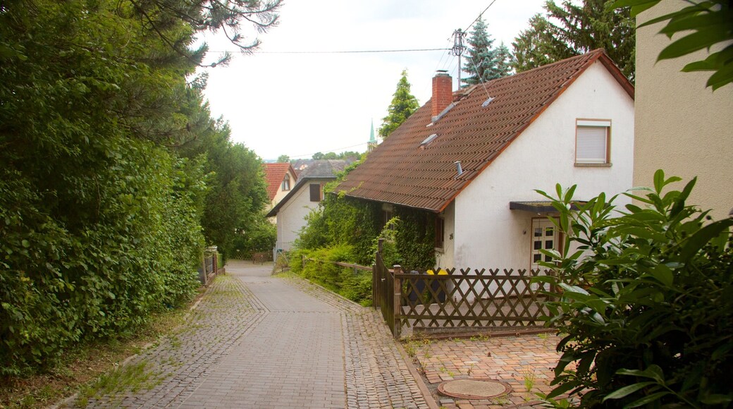 Seckbach showing a house