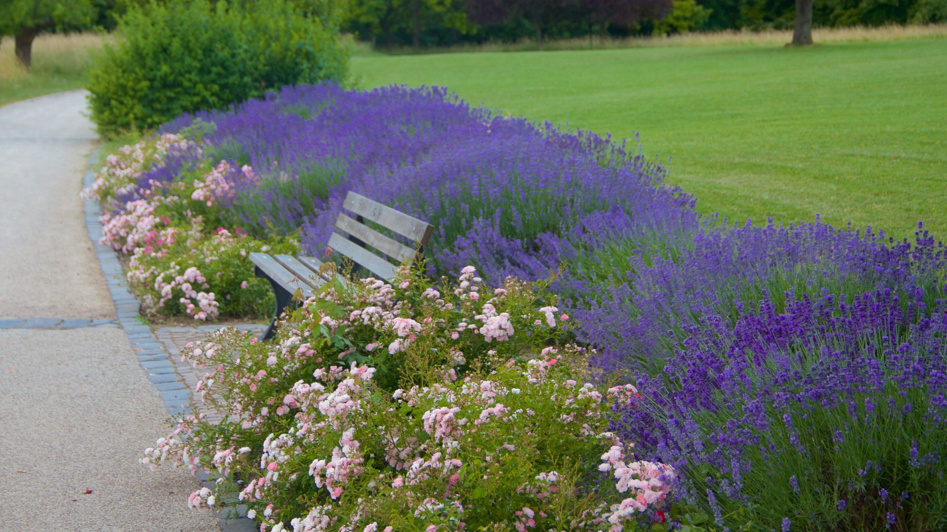 Seckbach che include giardino e fiori