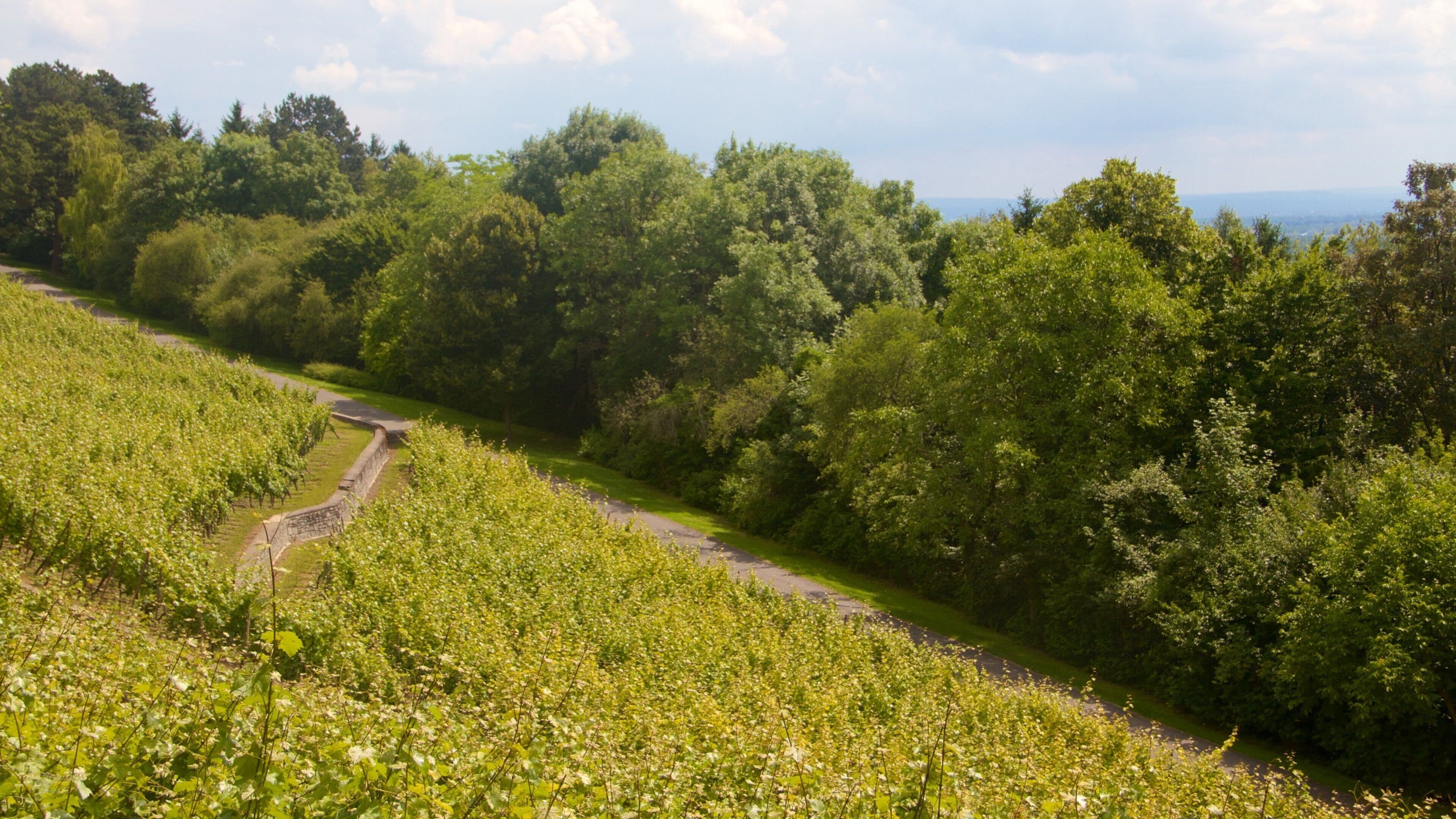 Seckbach featuring tranquil scenes and farmland