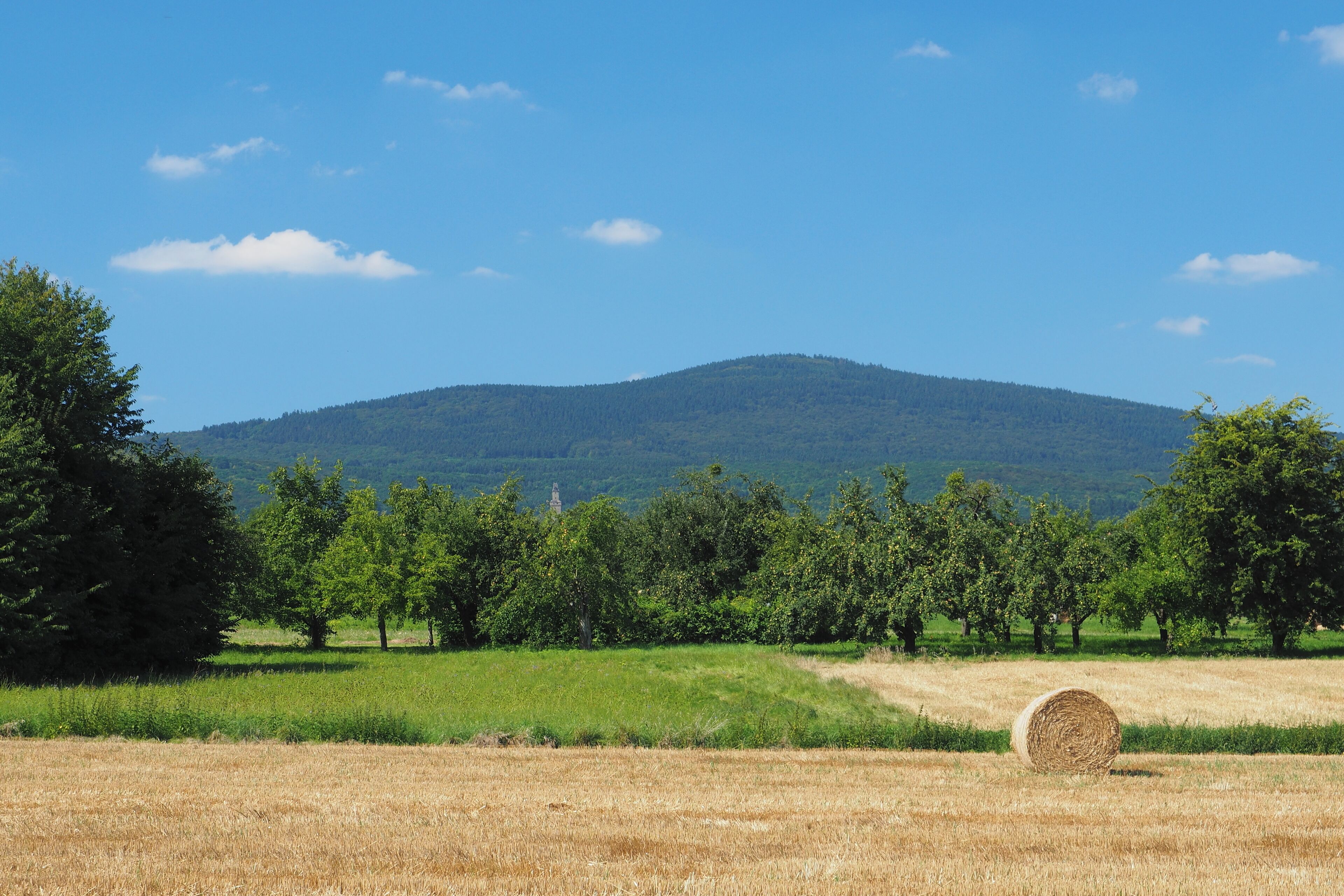Altkönig (798 m), view from the fields in the north of Schwalbach am Taunus