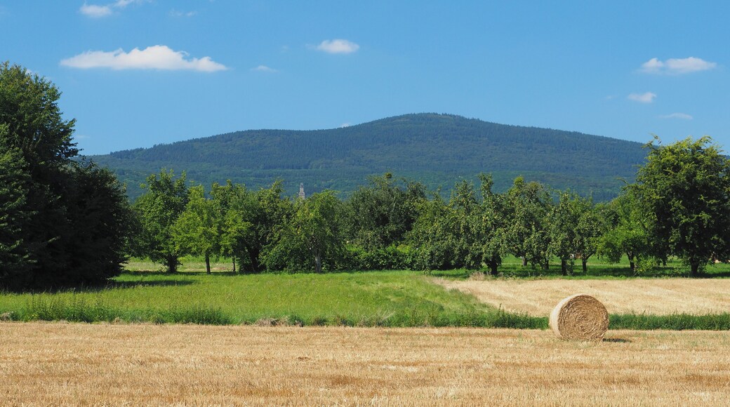 Altkönig (798 m), view from the fields in the north of Schwalbach am Taunus
