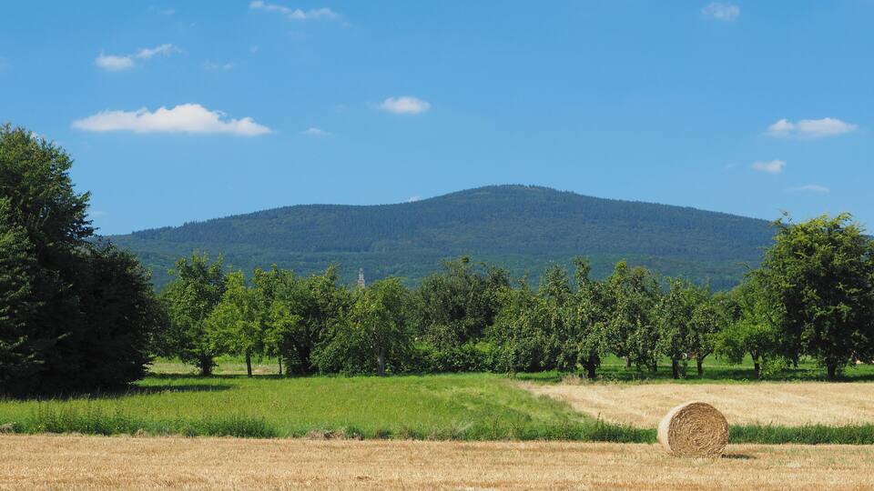 A field with a hay bale, trees, and a mountain in the background.
