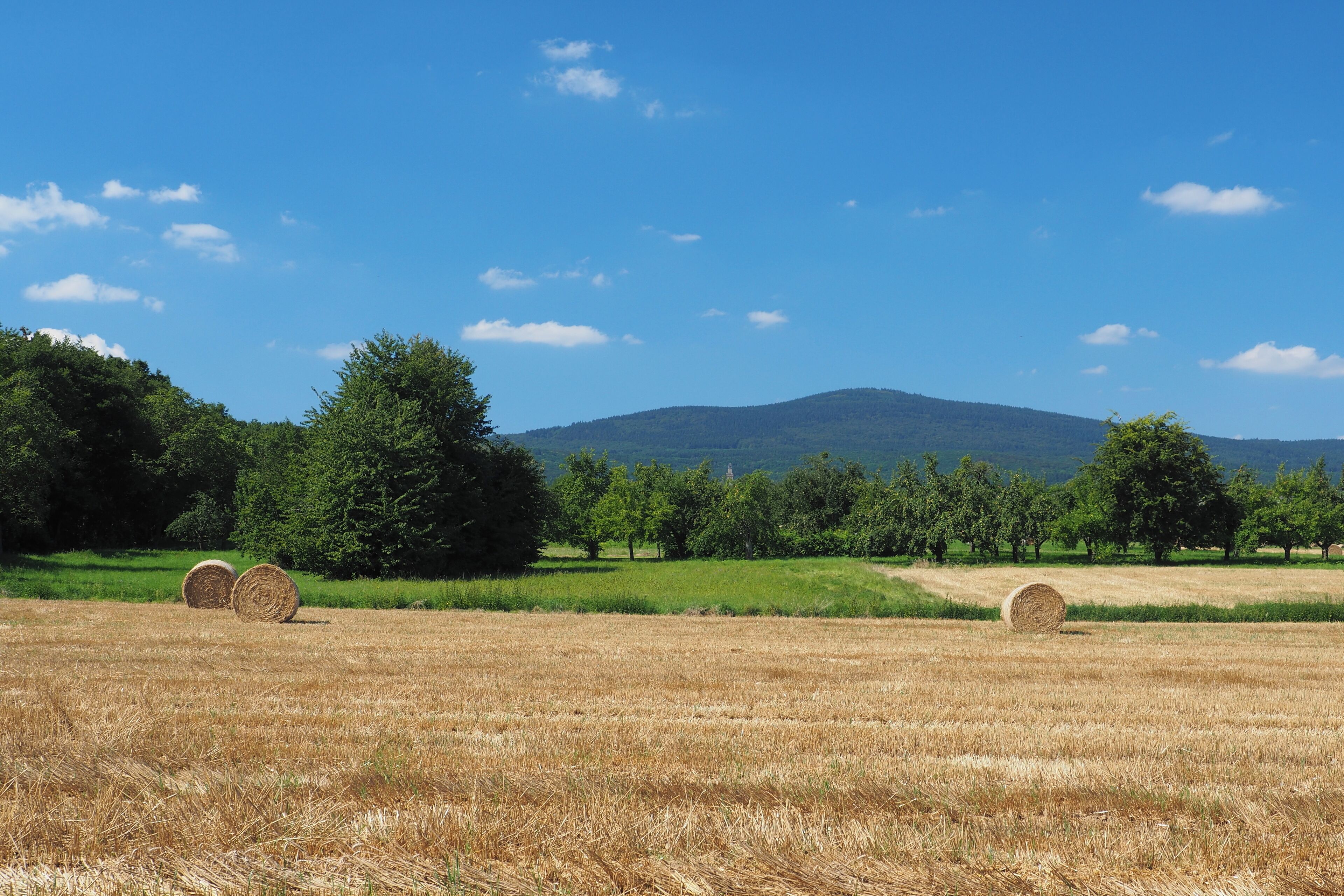 Altkönig (798 m), view from the fields in the north of Schwalbach am Taunus