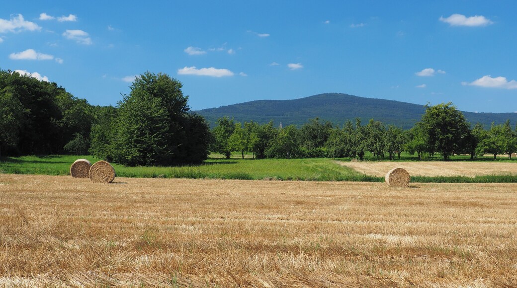 Altkönig (798 m), view from the fields in the north of Schwalbach am Taunus