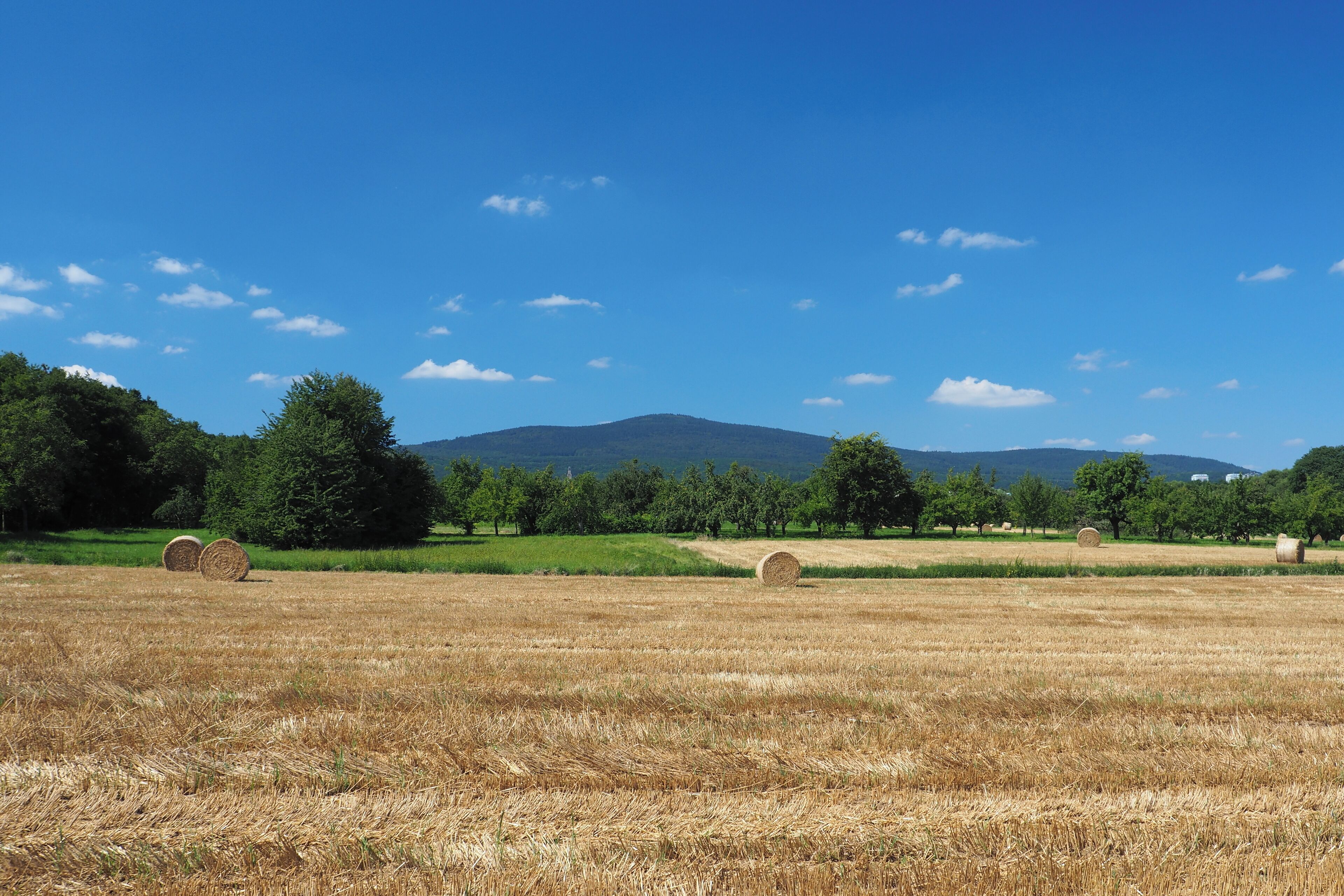 Altkönig (798 m), view from the fields in the north of Schwalbach am Taunus