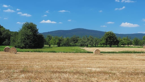 Altkönig (798 m), view from the fields in the north of Schwalbach am Taunus