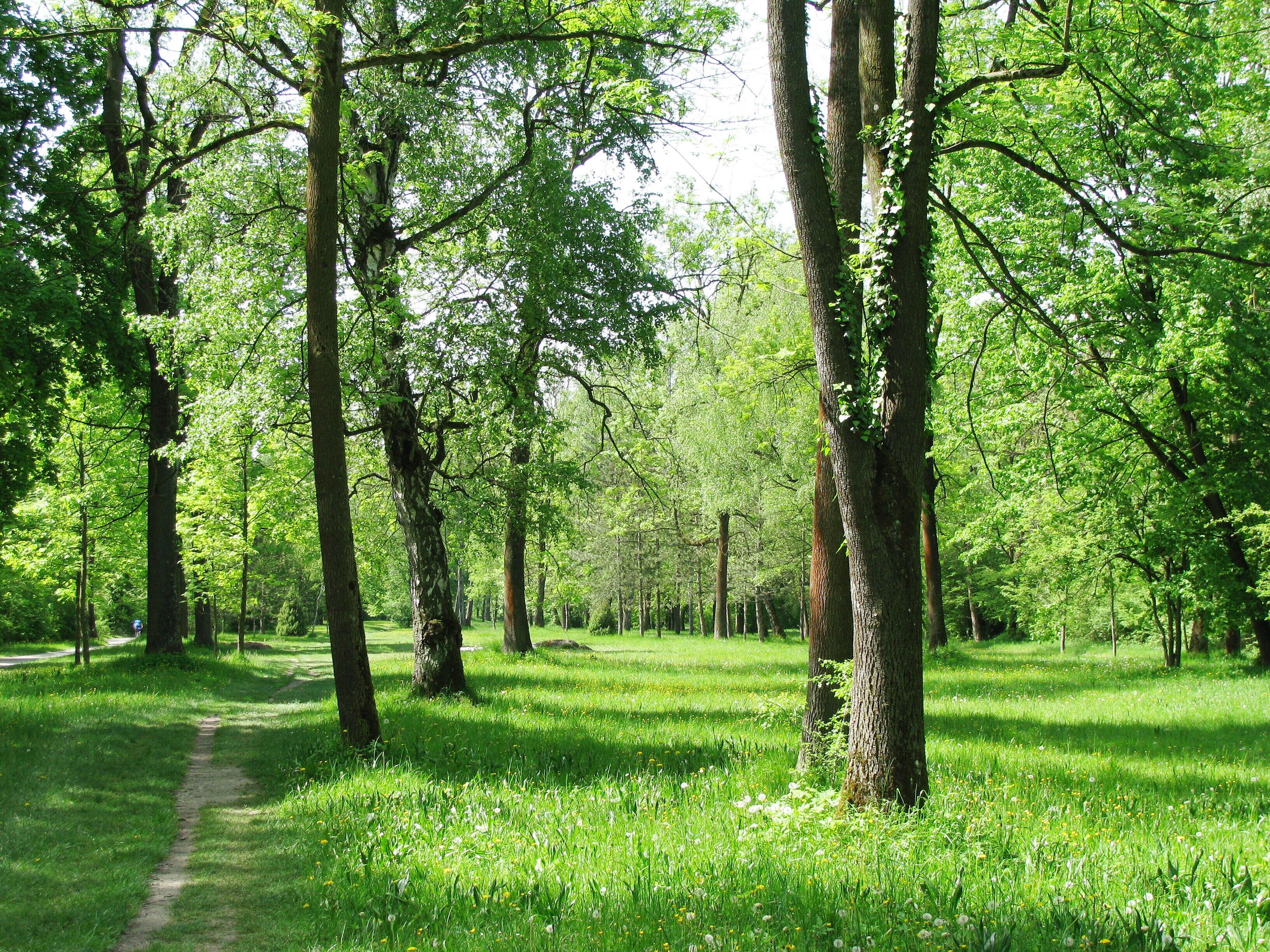 Englischer Garten, Nordteil