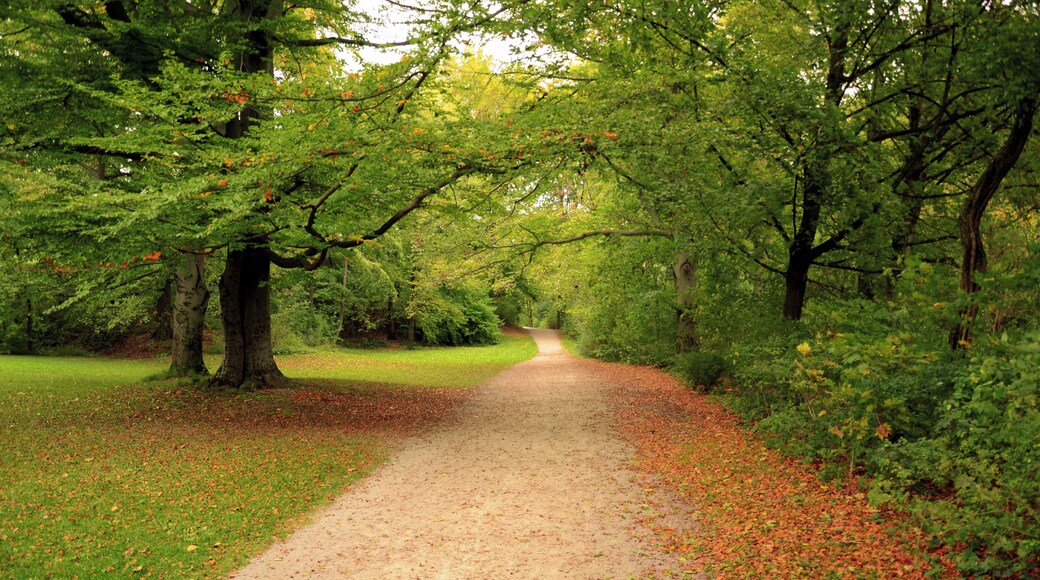 Germany - Munich - Englisher Garten