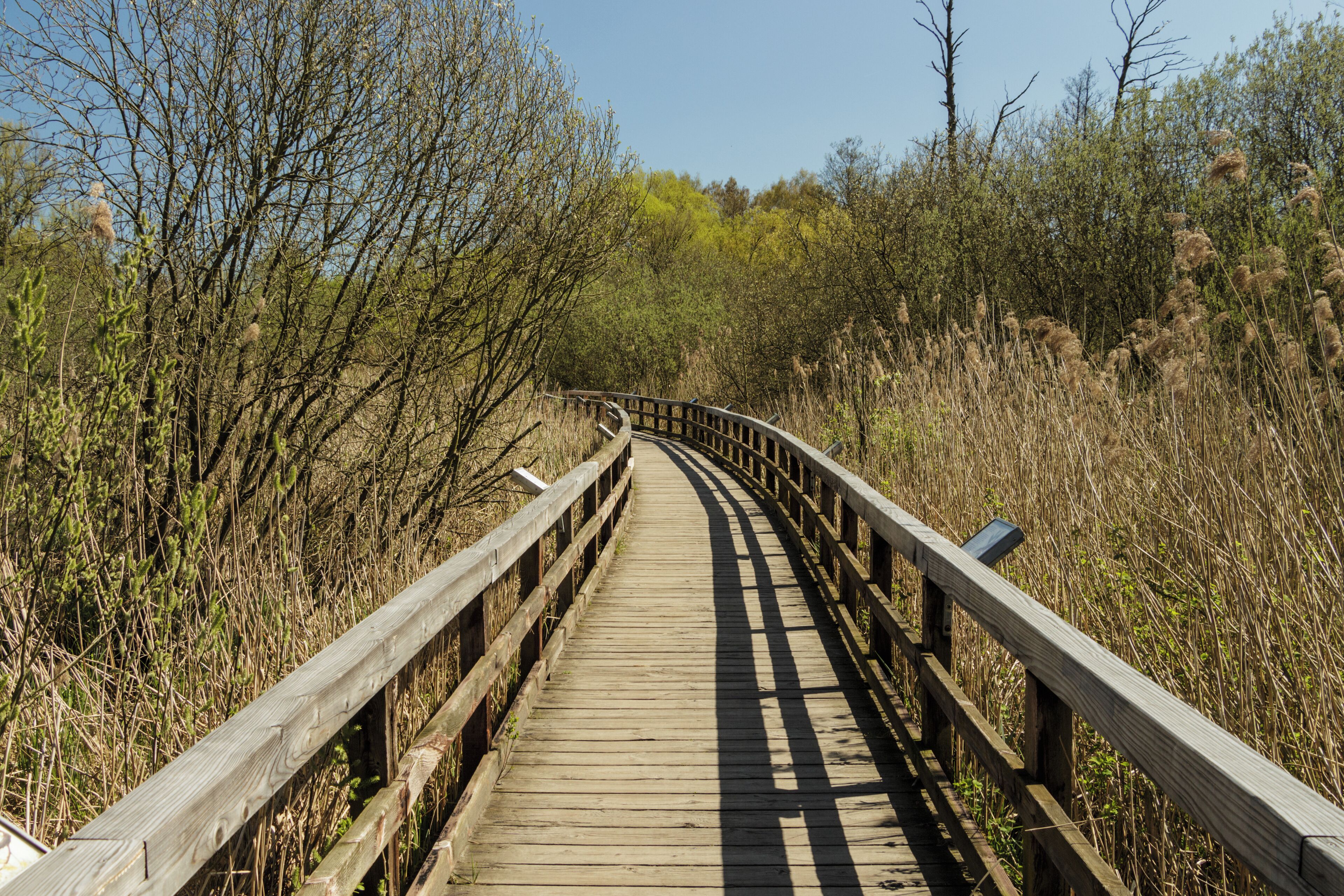 Der Naturlehrpfad im Tegeler Fließtal in Berlin, Eichwerder Steg im Landschaftsschutzgebiet „Tegeler Fließ“