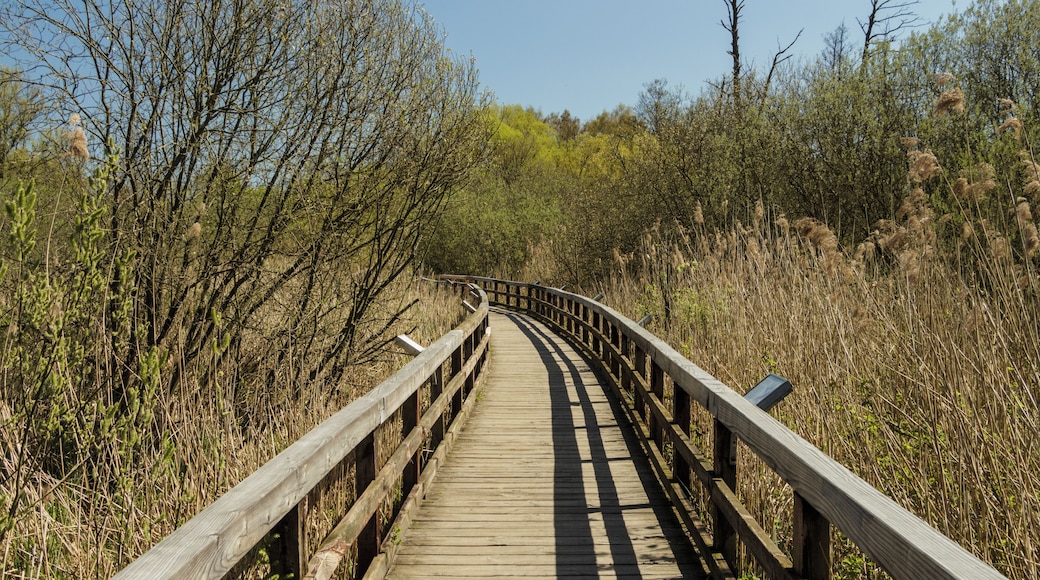 Der Naturlehrpfad im Tegeler Fließtal in Berlin, Eichwerder Steg im Landschaftsschutzgebiet „Tegeler Fließ“