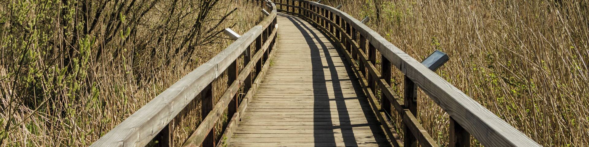 Der Naturlehrpfad im Tegeler Fließtal in Berlin, Eichwerder Steg im Landschaftsschutzgebiet „Tegeler Fließ“