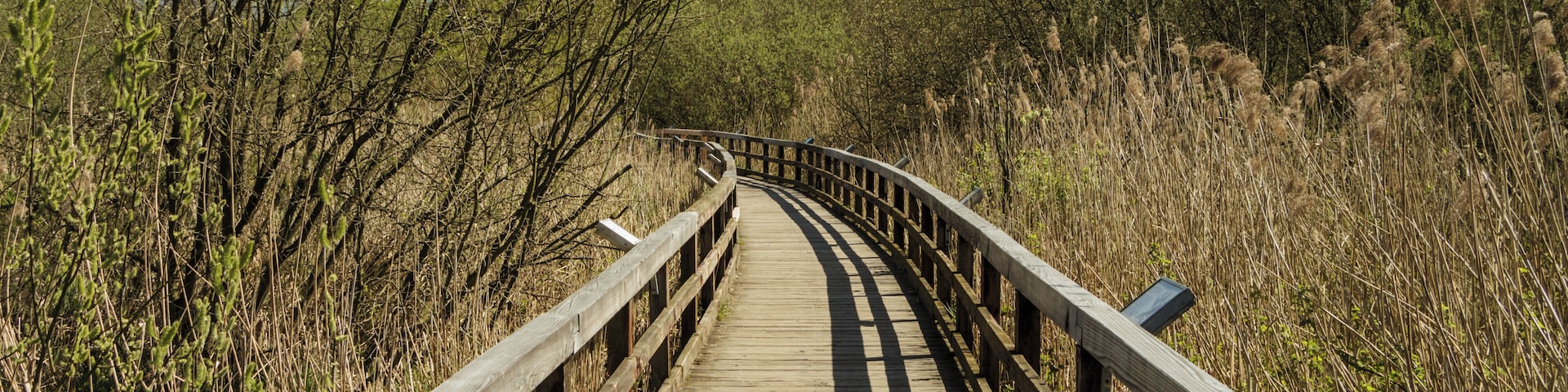 Der Naturlehrpfad im Tegeler Fließtal in Berlin, Eichwerder Steg im Landschaftsschutzgebiet „Tegeler Fließ“