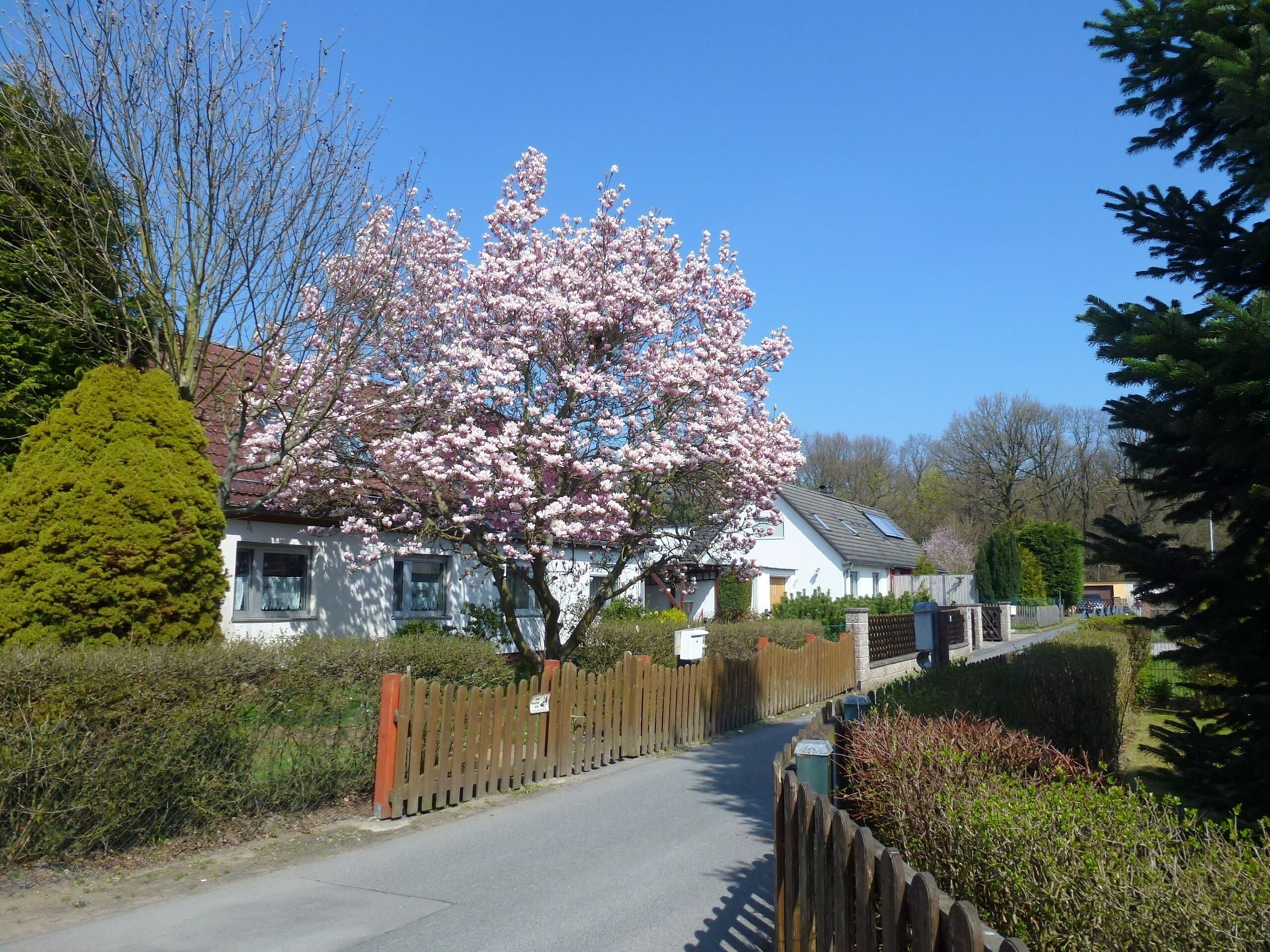 Berlin-Tegel Straße Y
