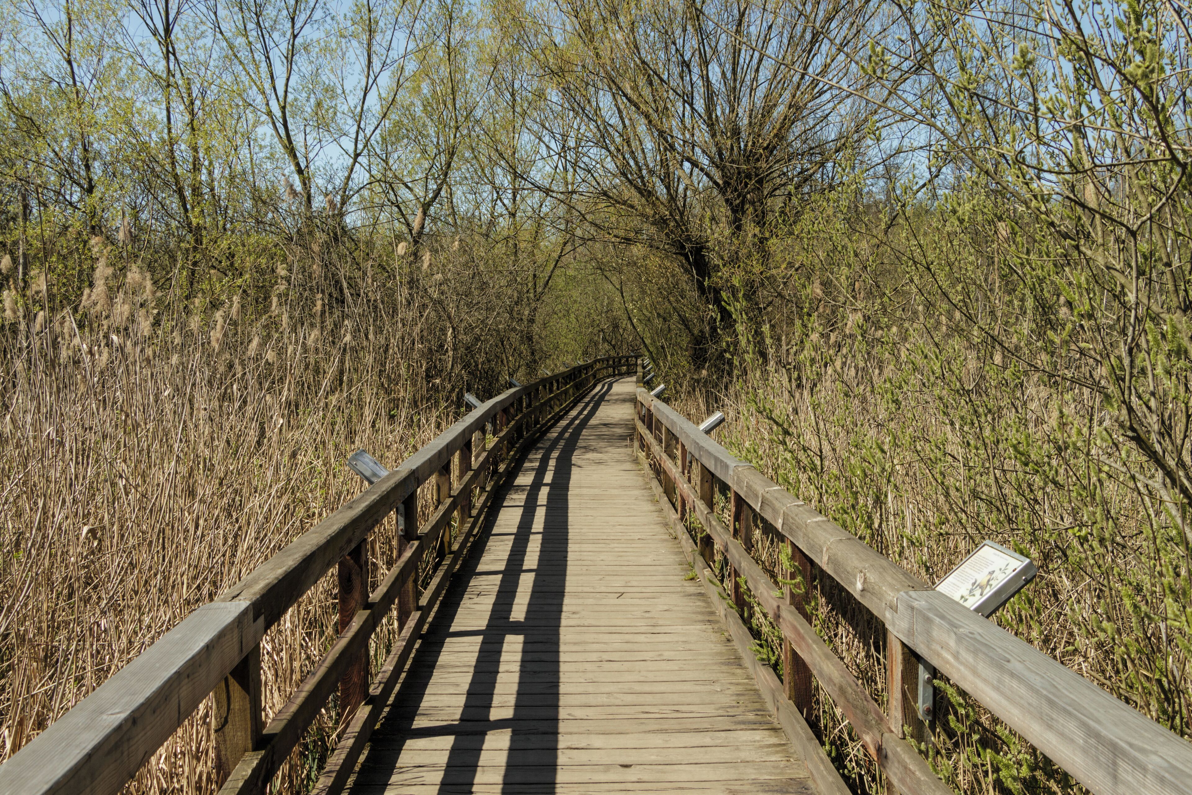 Der Naturlehrpfad im Tegeler Fließtal in Berlin, Eichwerder Steg im Landschaftsschutzgebiet „Tegeler Fließ“