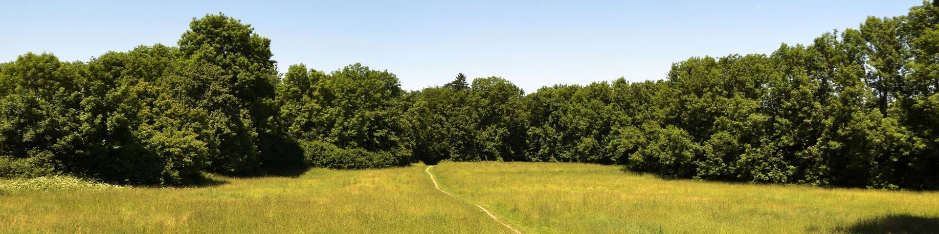 The Pasinger Stadtpark is a park in the West of Munich.