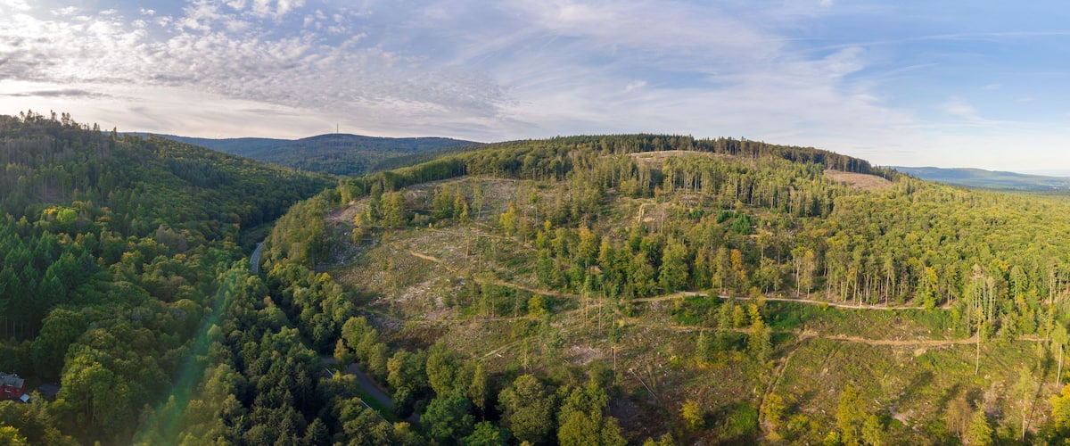 A forested mountain landscape with a winding road and a small house.