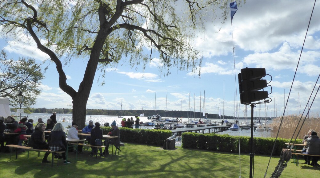 Nikolassee Berliner Yacht-Club Ansegeln 2017