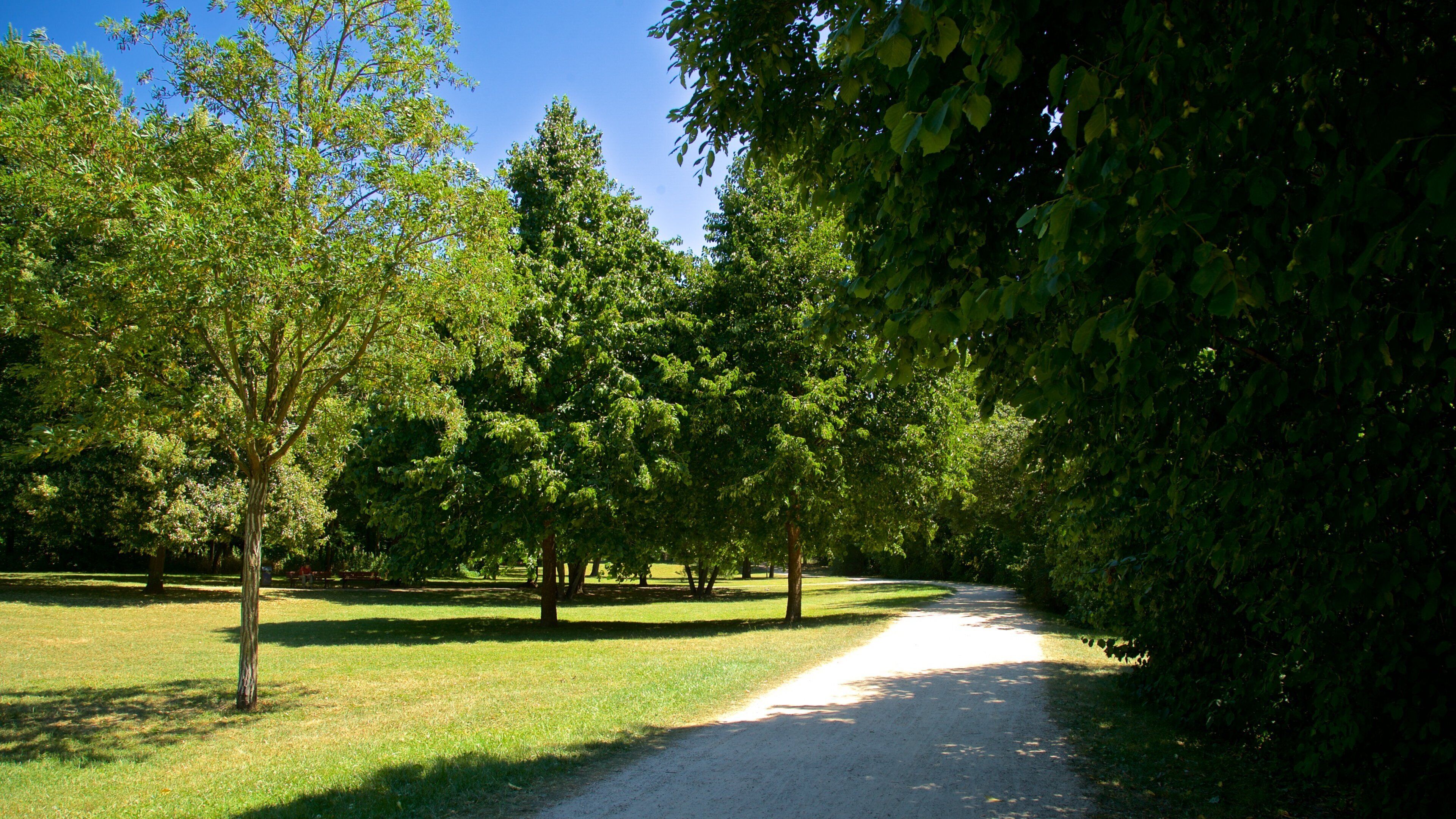 Niederrad featuring a park