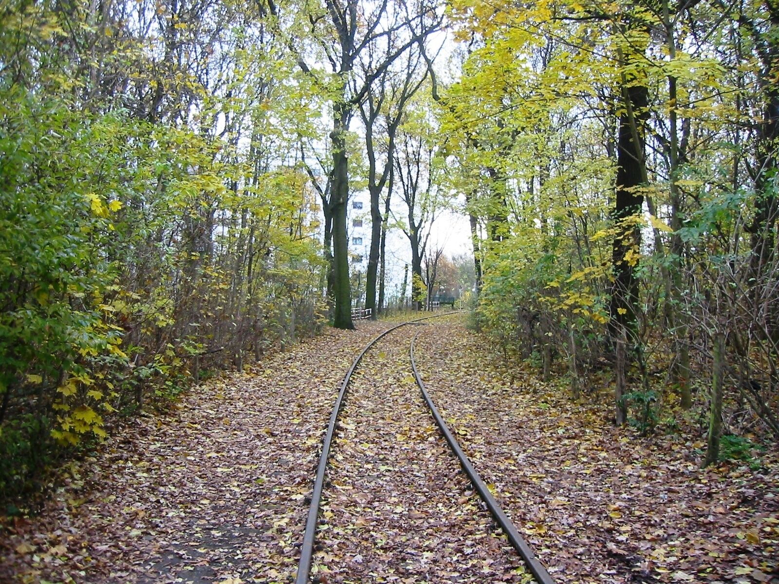 Ehemalige Bahnstrecke im LSG „Vogelschutzgebiet am Wildmeisterdamm in Rudow“