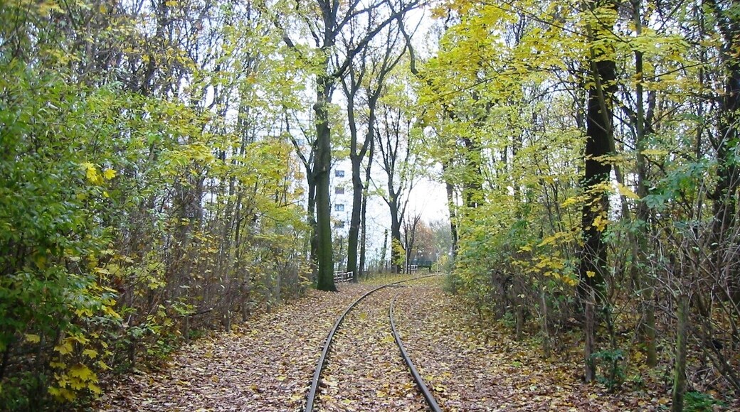 Ehemalige Bahnstrecke im LSG „Vogelschutzgebiet am Wildmeisterdamm in Rudow“