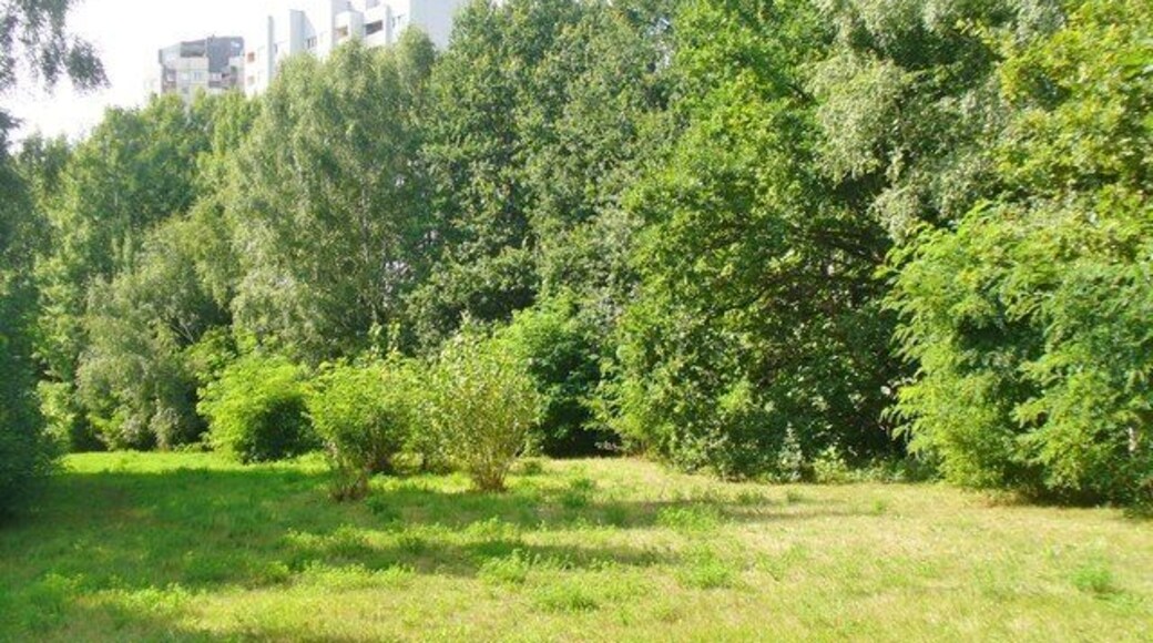 Gropiusstadt - Rudower Waeldchen (Little Rudow Wood)