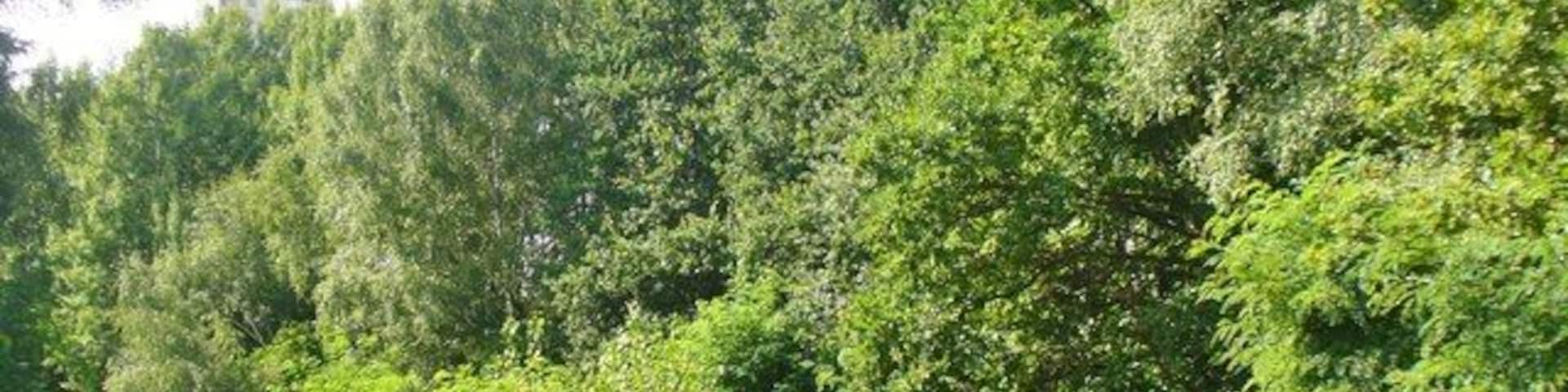 Gropiusstadt - Rudower Waeldchen (Little Rudow Wood)