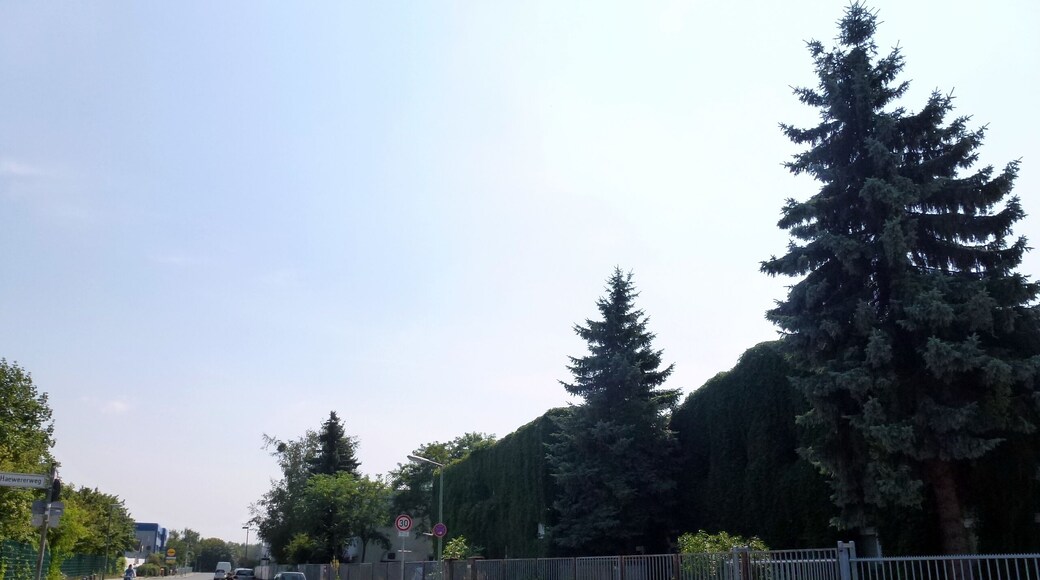 Berlin-Buckow Warmensteinacher Straße