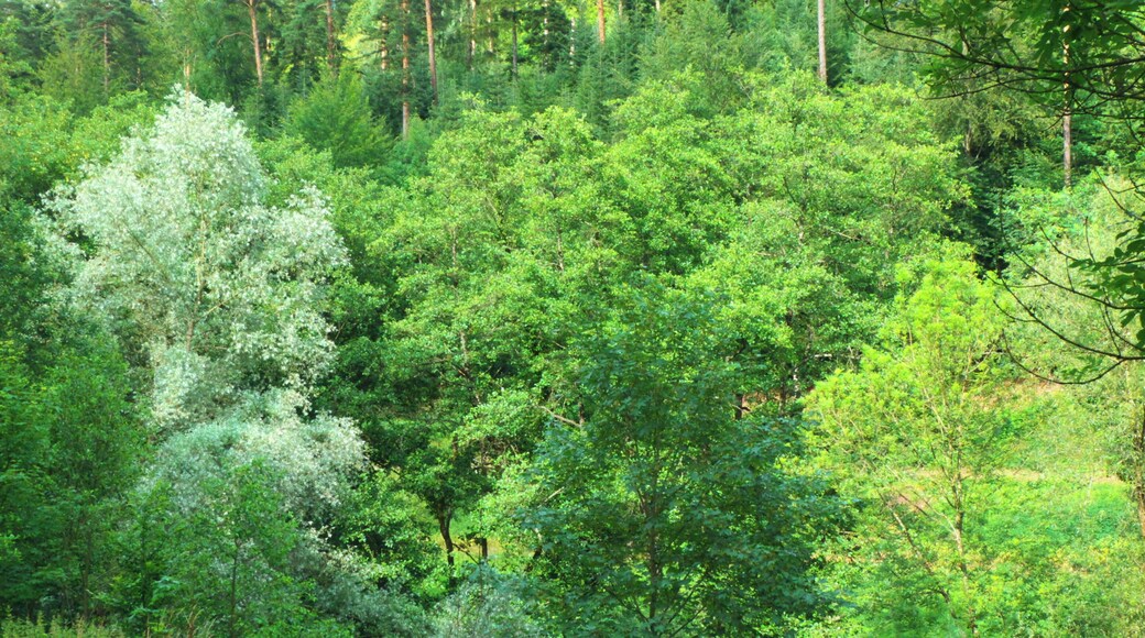 Made Of Stainless Steel