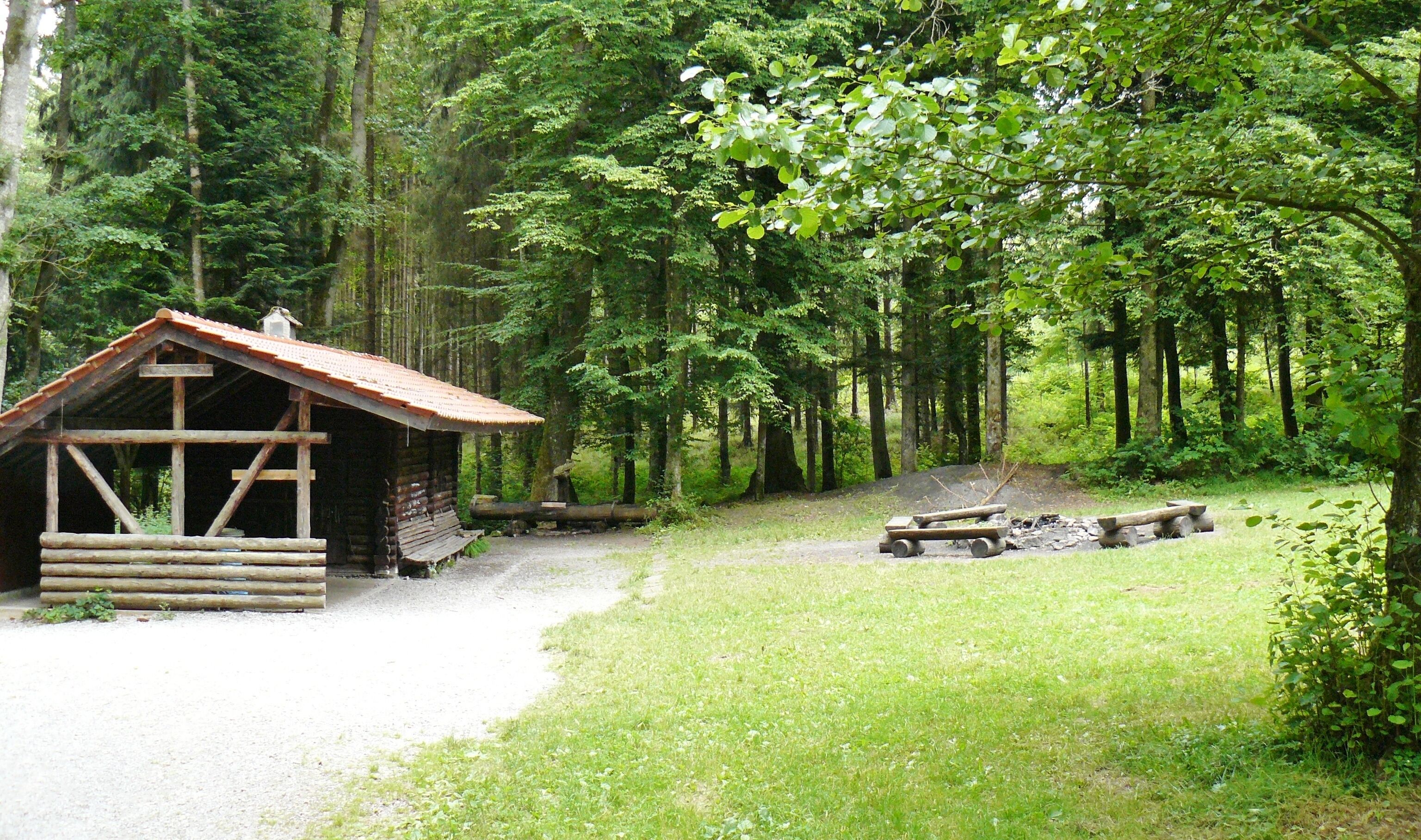 A rustic cabin in a forest, surrounded by tall trees and a gravel path.