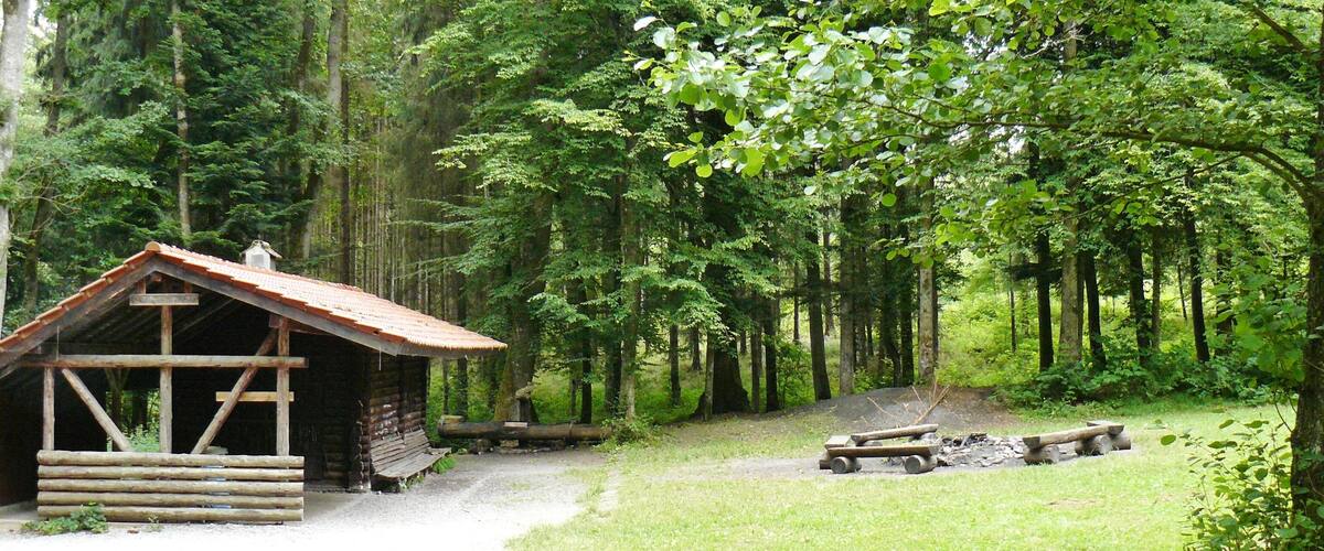 A rustic cabin in a forest, surrounded by tall trees and a gravel path.