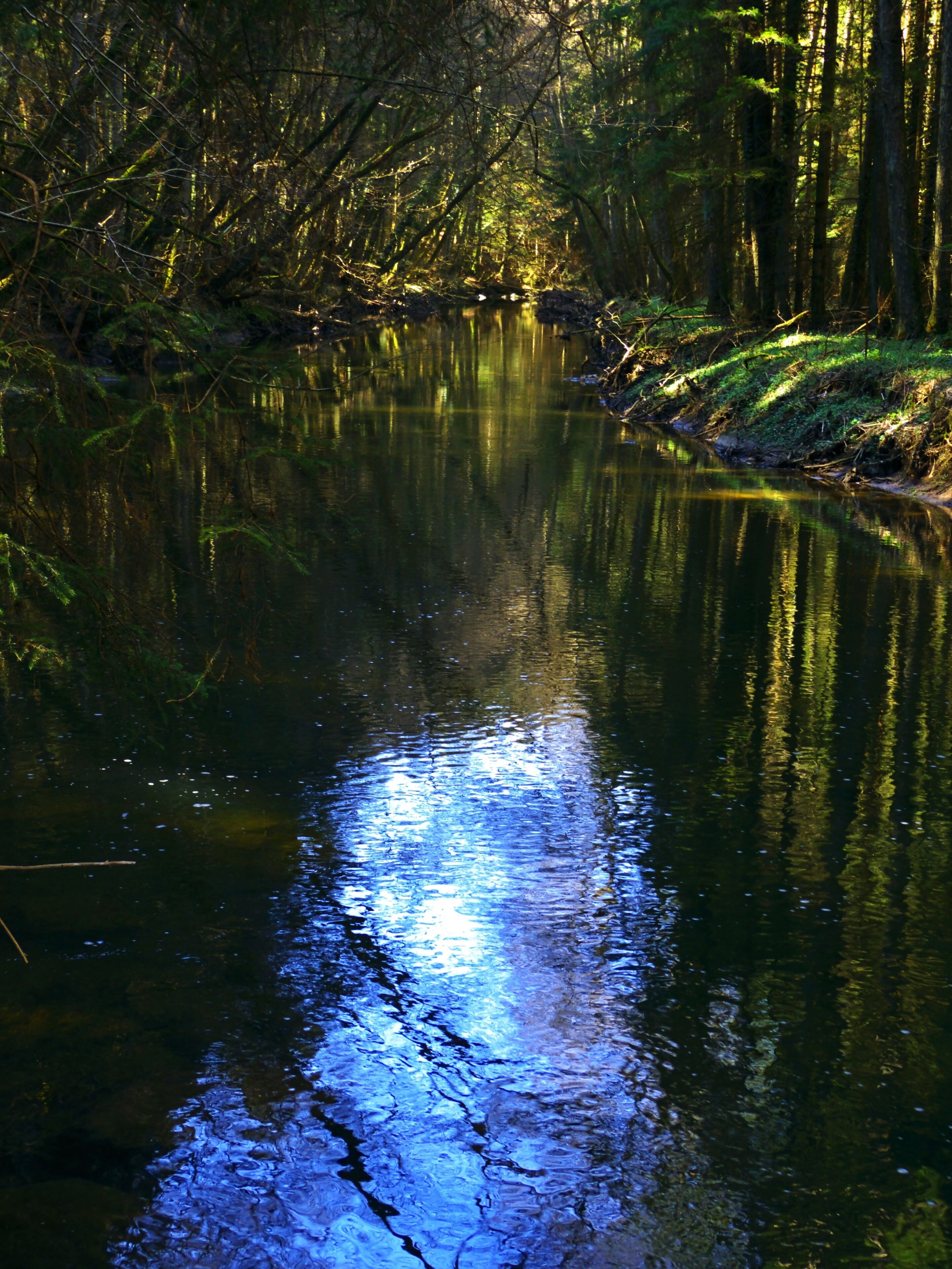 I Forgot The Fishing Rod