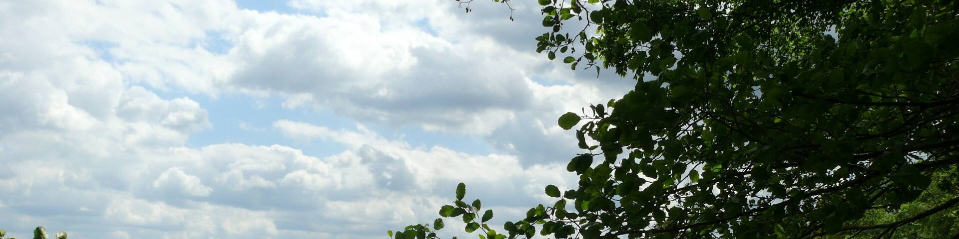 Berlin-MĂŒggelheim StraĂe zur Krampenburg