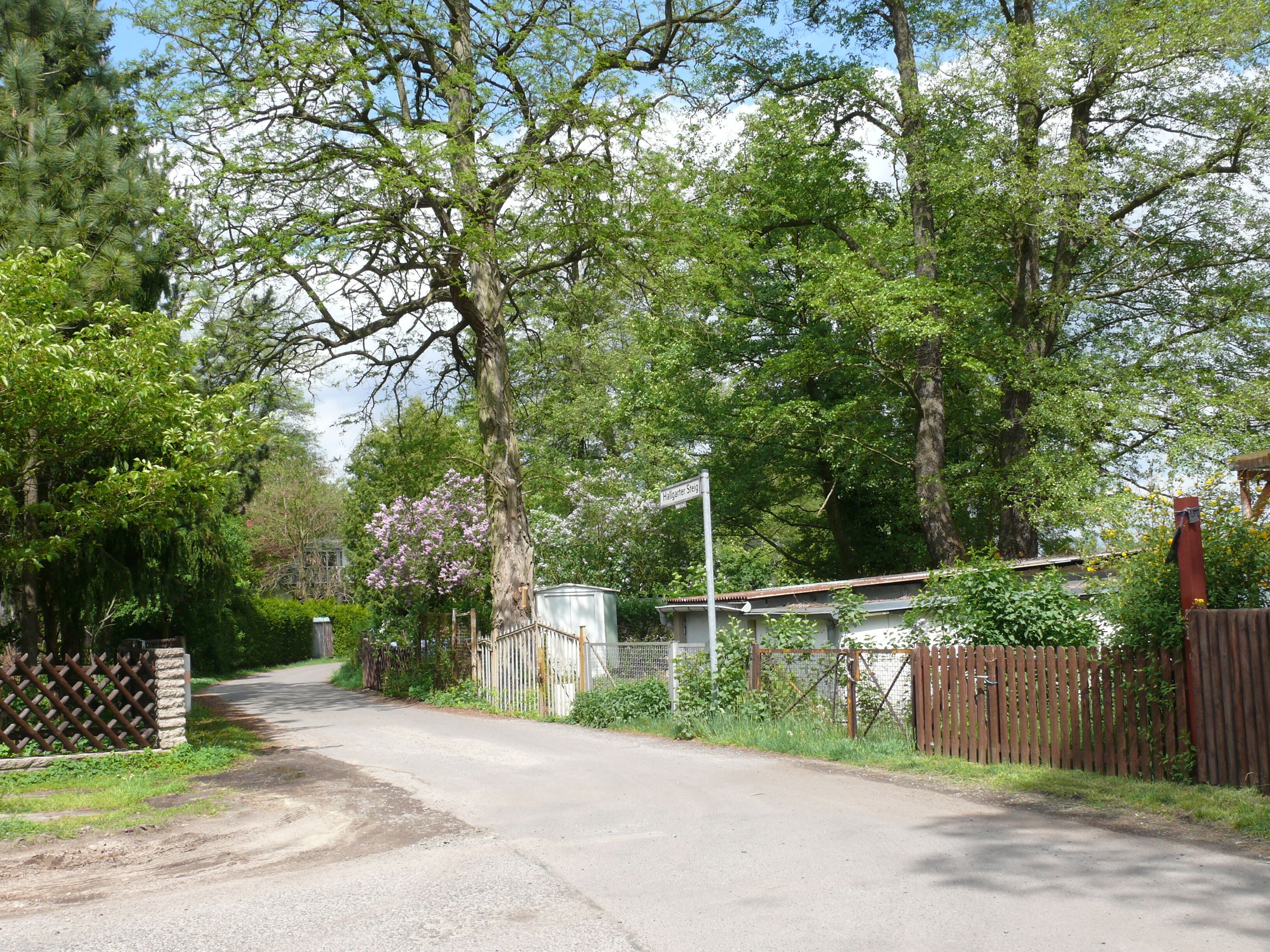 Berlin-Müggelheim Hallgarter Steig