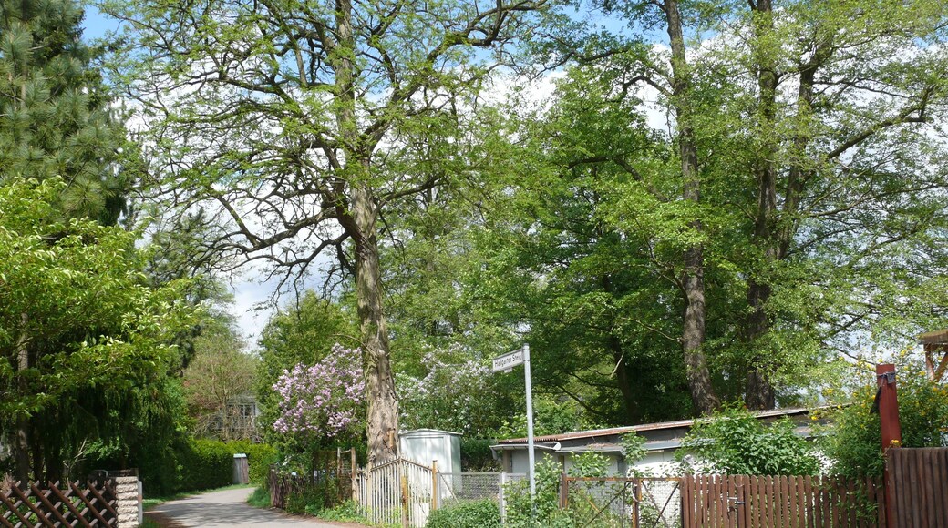 Berlin-Müggelheim Hallgarter Steig