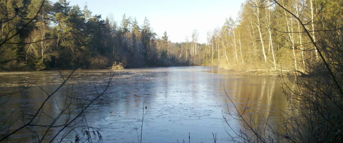 A frozen river surrounded by trees.