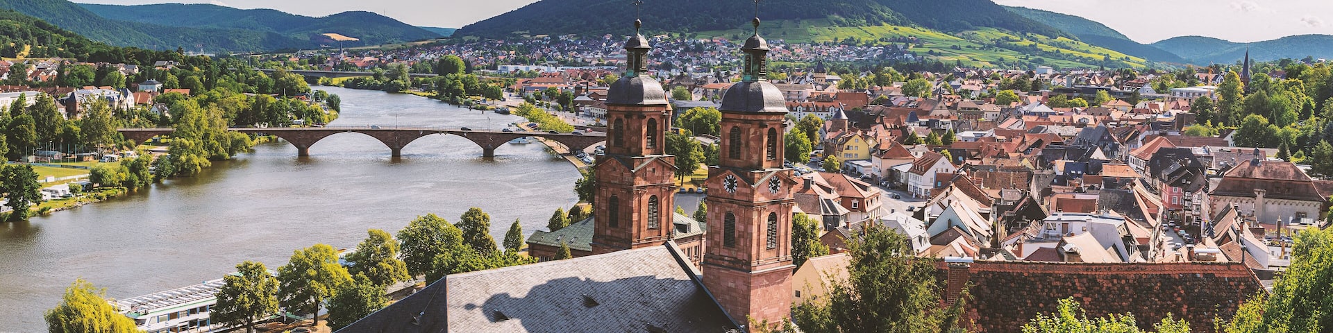 Panorama von Miltenberg im Frühjahr