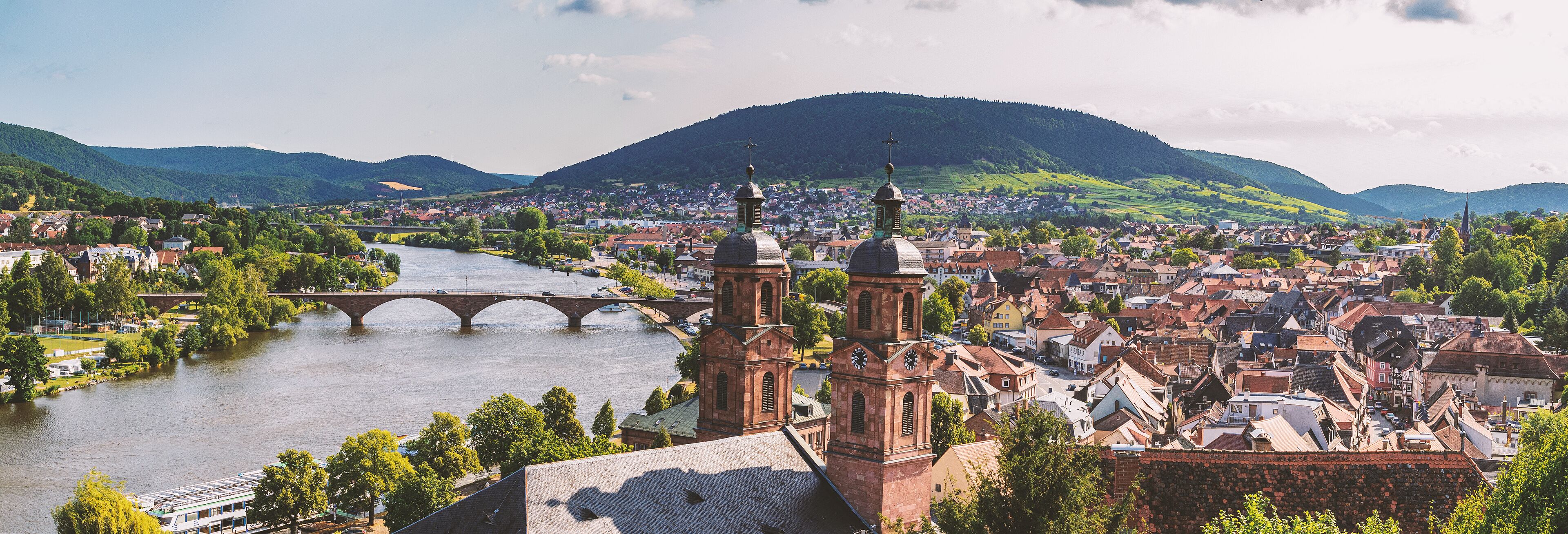 A river with a bridge, a town with historic buildings, and a hill in the background.