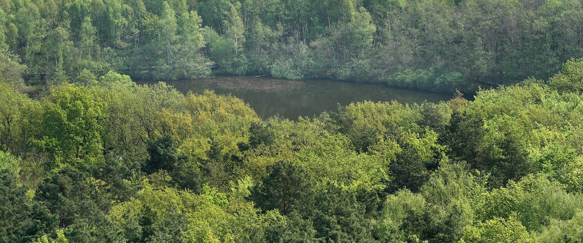 Müggelturm