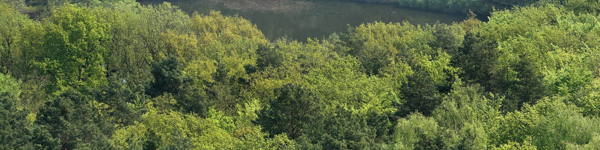 Müggelturm