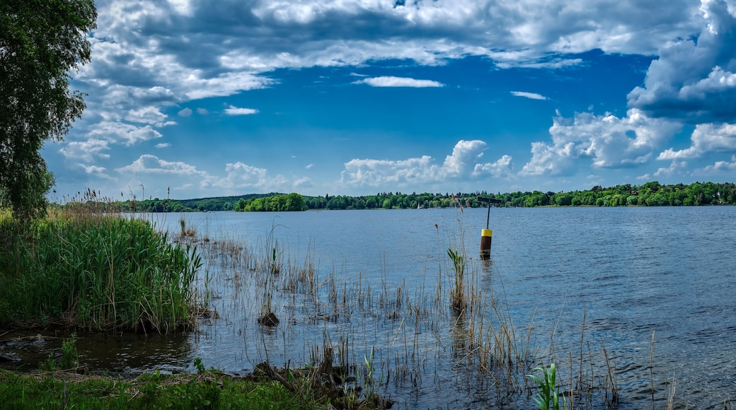 Een meer met een heldere lucht, een verre oever met bomen en een boei in het water.