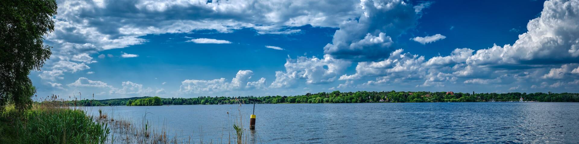 A lake with a clear sky, a distant shoreline with trees, and a buoy in the water.