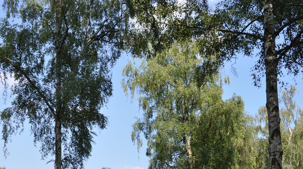 Fechenheim. Friedhof, Ehrenmal