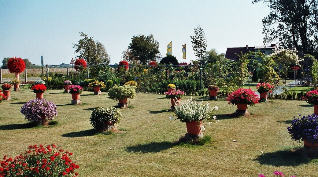 Kölsa (Falkenberg), market garden