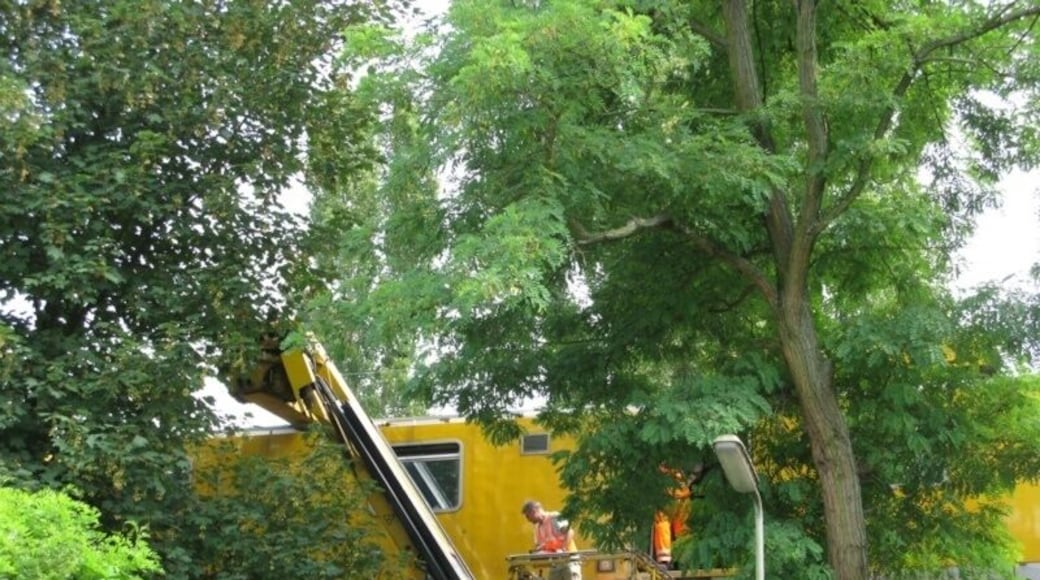 A overhead lines service vehicle of class 711 with the work platform at track level, preparing to cut a tree